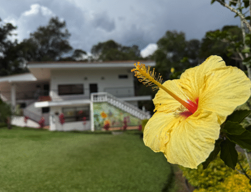 Planes románticos cerca de Medellín: una escapada a La Estrella